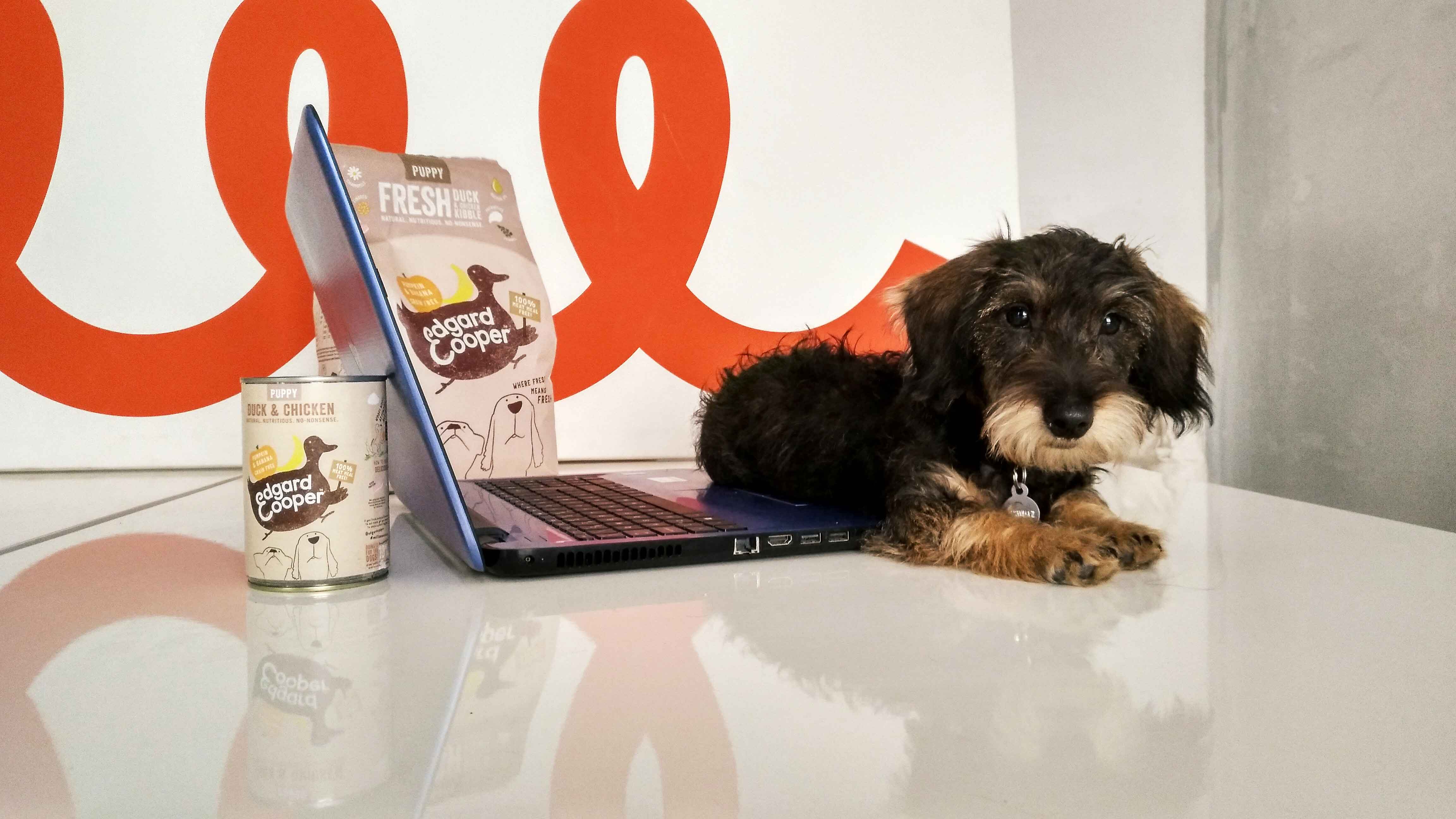 Edgard & Cooper comida para mascotas